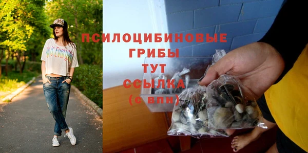 стафф Липки