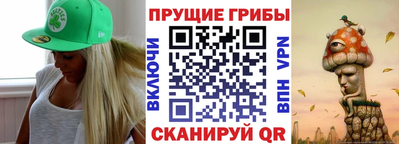 Псилоцибиновые грибы Psilocybe  Лермонтов 